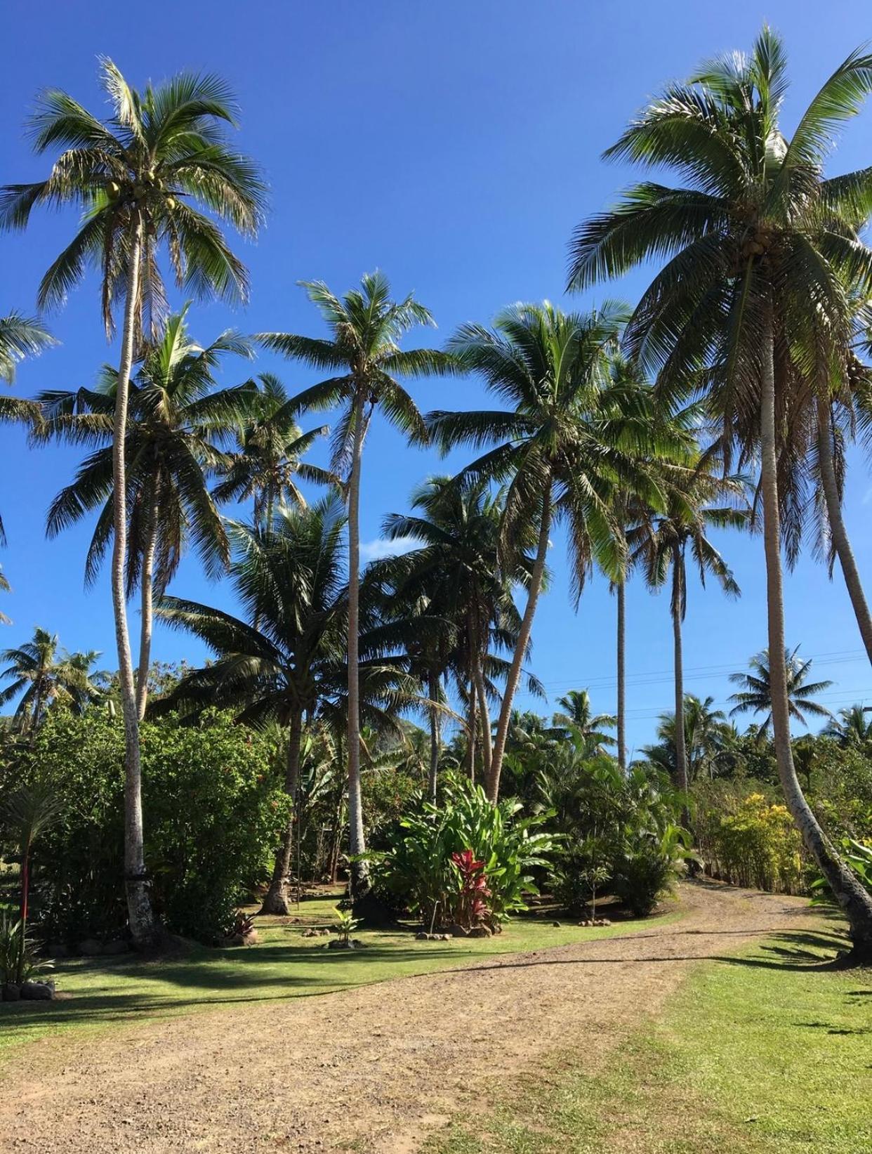 Island Breeze Fiji Villa Savusavu Værelse billede